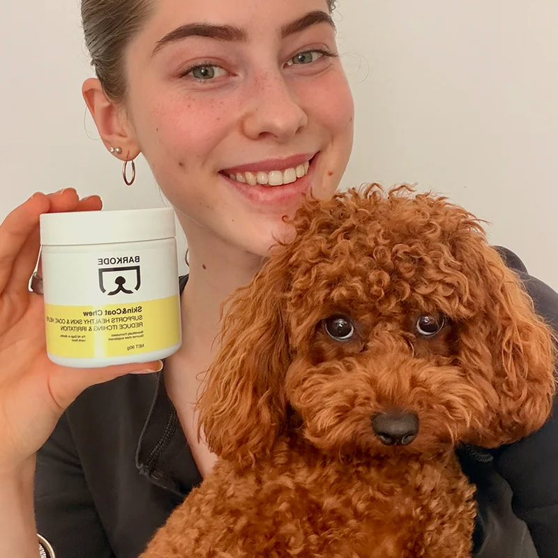 Halterin hält eine Dose Skin & Coat Chew neben ihrem roten Toypudel